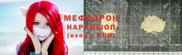 ECSTASY Богданович