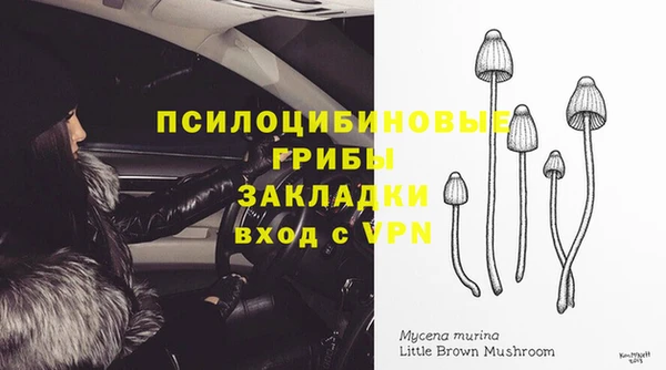 apvp Богородск
