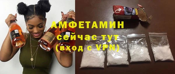 ECSTASY Богданович