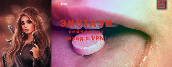 ECSTASY Богданович