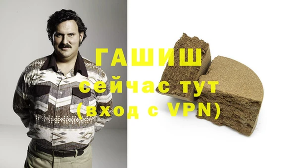 ECSTASY Богданович