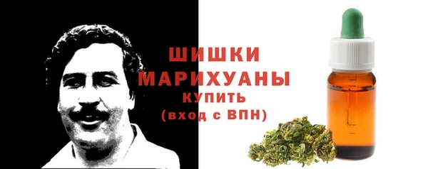 ECSTASY Богданович