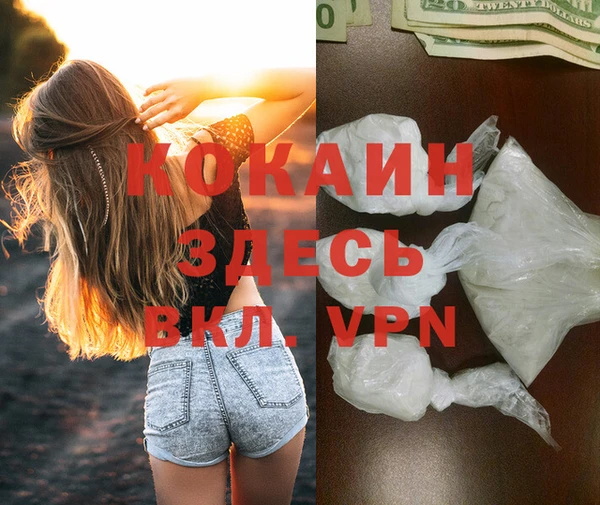 ECSTASY Богданович