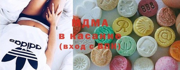 ECSTASY Богданович