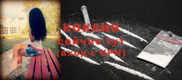 ECSTASY Богданович