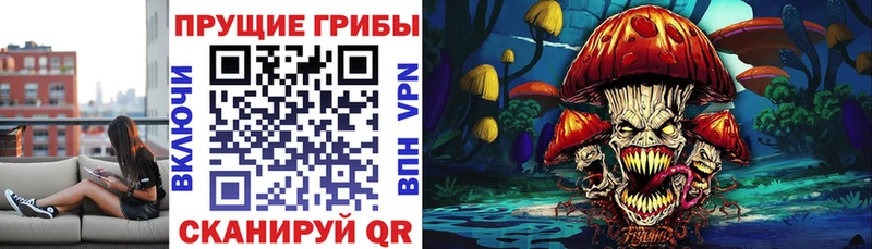 Купить закладки  Малгобек  Галлюциногенные грибы прущие грибы 